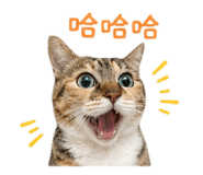 843276115