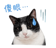843276142