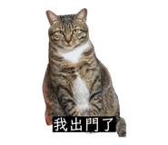 843276389