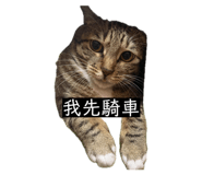 843276390