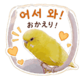 843277650