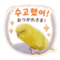 843277659
