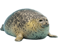 843278609