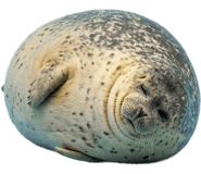 843278612