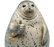 843278617