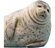 843278620