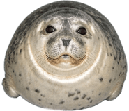 843278638