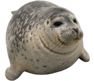 843278642