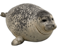 843278646