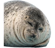 843278648