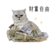 843280081