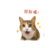 843281020