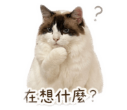 843281912