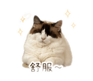 843281919
