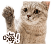 843281945