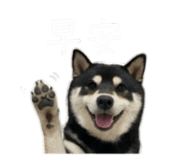 843283186