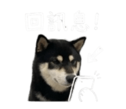 843283190