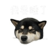 843283191