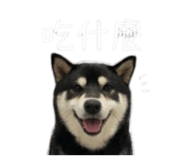 843283195