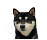 843283198