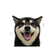 843283199