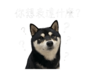 843283202