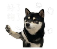 843283203