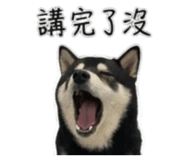 843283206