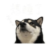 843283207