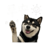 843283210