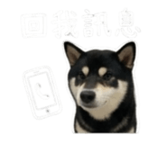 843283215