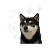 843283219