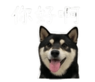 843283221