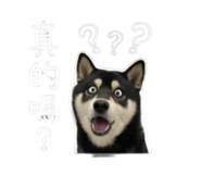 843283222