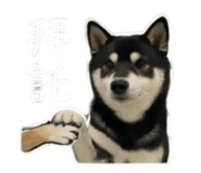843283223
