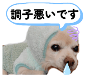 843283483