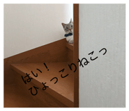 843283777
