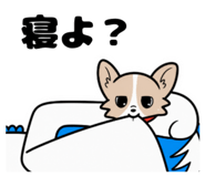 843283800