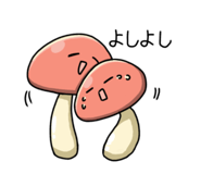 843283895