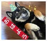 843284057