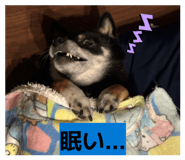 843284059