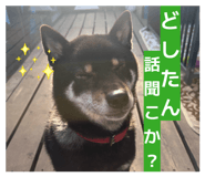 843284062
