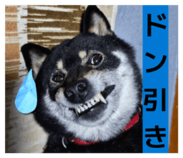843284066