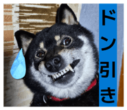 843284066
