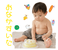 843284306