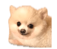 843284321
