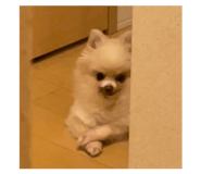 843284322