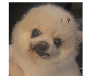 843284327