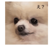 843284336