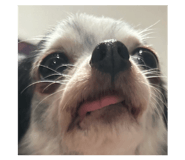 843284341